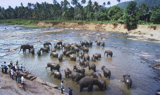 Sri Lanka - Cejlon i inne skarby wyspy